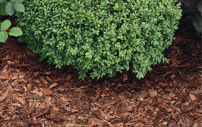 Rindenmulch Gruengut Service